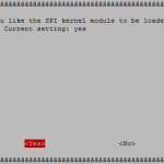 Select Yes to enable SPI on boot. 